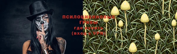 хмурый Вязники