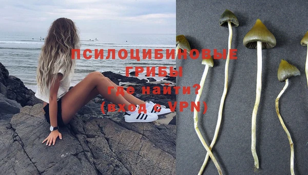 соль ск Вязьма