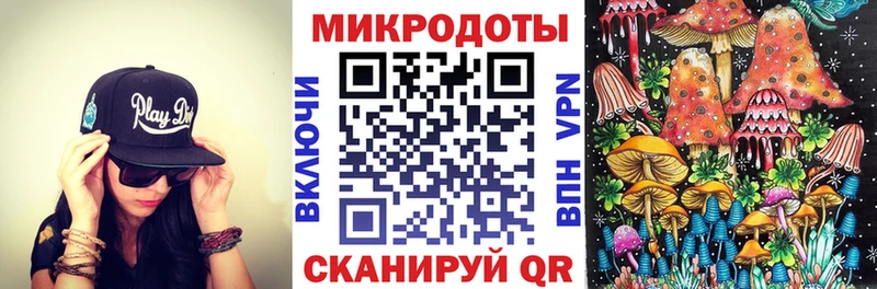 Псилоцибиновые грибы Psilocybe  как найти наркотики  Емва 